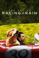 Download Streaming Film The Art of Racing in the Rain (2019) Subtitle Indonesia