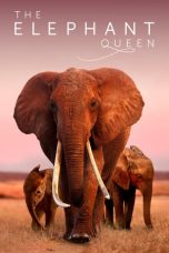 Download Streaming Film The Elephant Queen (2019) Subtitle Indonesia