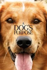 Download Streaming Film A Dog's Purpose (2017) Subtitle Indonesia