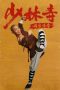 Download Streaming Film The Legend of Shaolin Temple (2021) Subtitle Indonesia HD Bluray