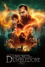 Download Streaming Film Fantastic Beasts: The Secrets of Dumbledore (2022) Subtitle Indonesia HD Bluray