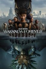 Download Streaming Film Black Panther: Wakanda Forever (2022) Subtitle Indonesia HD Bluray