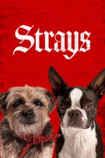 Download Streaming Film Strays (2023) Subtitle Indonesia HD Bluray